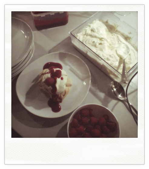 Haselnuss Meringue mit Mascarpone Creme und Himbeersoße
