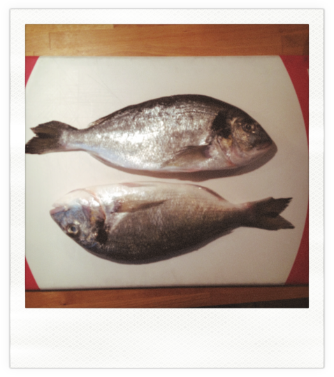 Frische Dorade aus dem Ofen mit Kräuterkruste